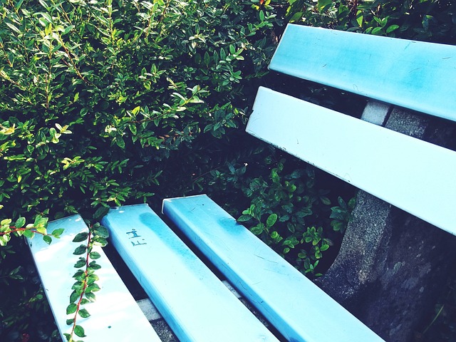 北京球队凭 北京球队凭