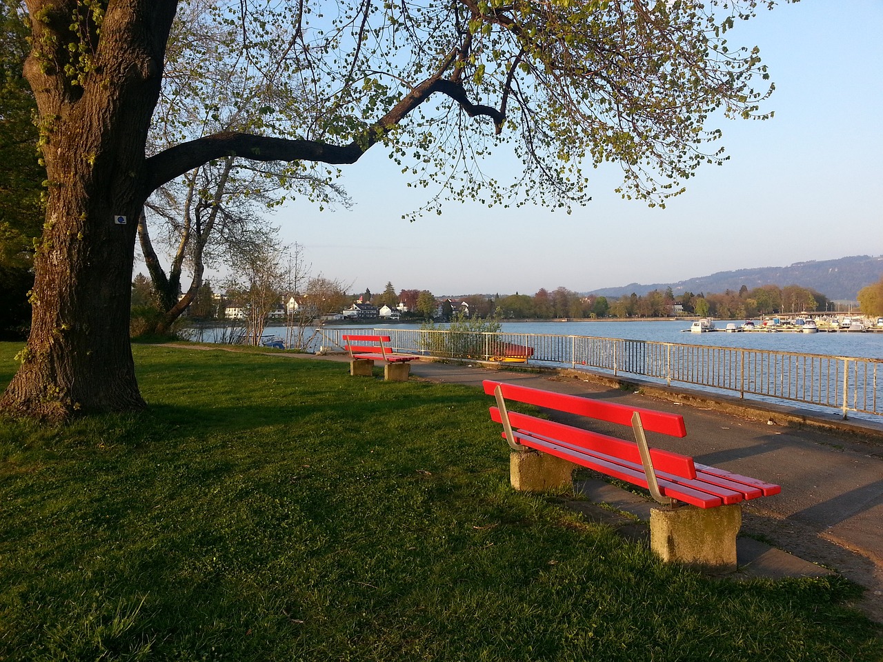 突出亮点 突出亮点