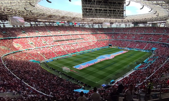 的生命力 的生命力