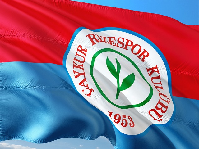 仍有充分理 仍有充分理