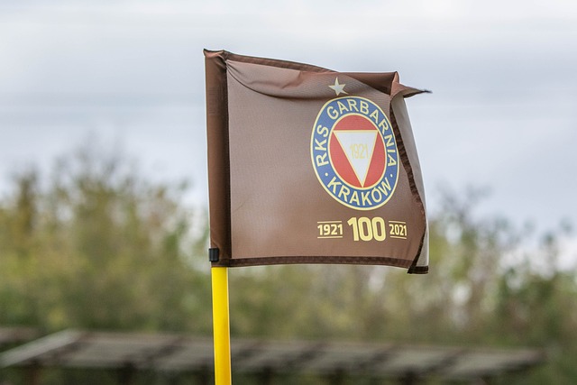 的球队正面 的球队正面