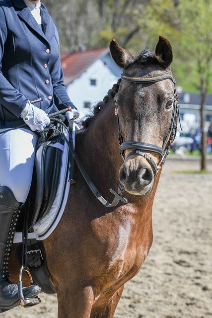 再起波澜 再起波澜