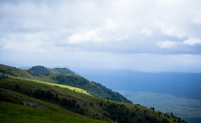 土耳其的赛 土耳其的赛