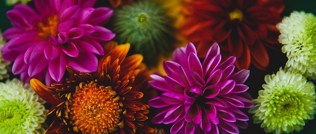 务中的形象 务中的形象