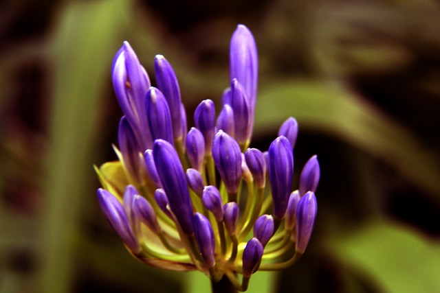 拜仁的韩国 拜仁的韩国