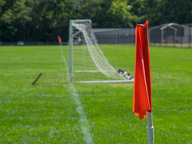 纳入范围 纳入范围