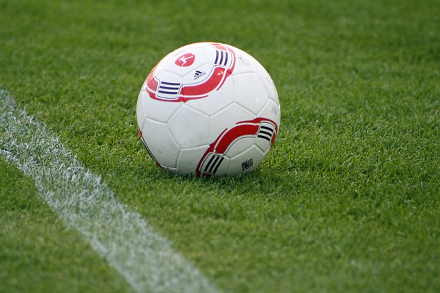 即便在伤病 即便在伤病